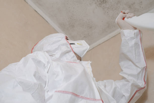Galena Park, TX Mold Removal Company